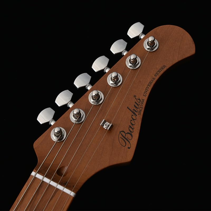 BACCHUS GS2-DX-RSM-FR