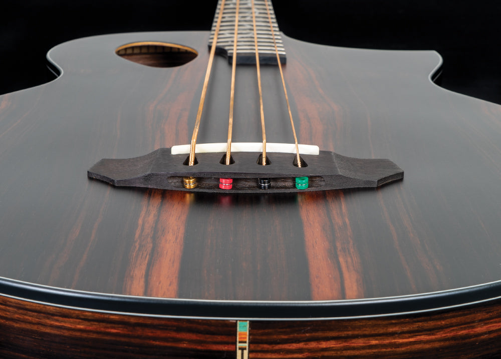 Michael Kelly Dragonfly 4 Port Java Ebony Acoustic Bass Guitar