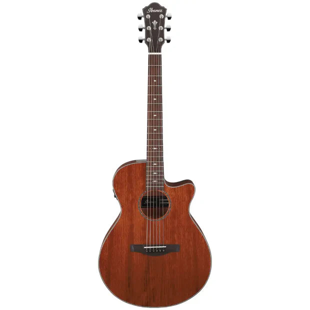 Ibanez AEG220-LGS Acoustic Guitar w/ EQ