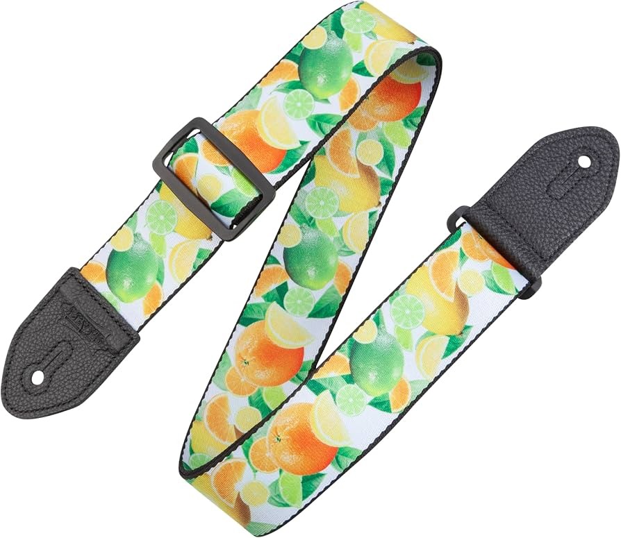 Levy's MP2FS-006 2 Inch Polyester Guitar Strap