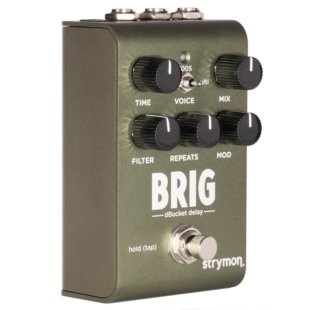 voice delay pedal Strymon Brig Multi-voice dBucket Delay Pedal – Fouche Guitars