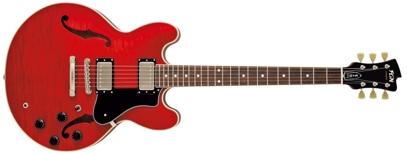 FGN MASTERFILD MSA-HP