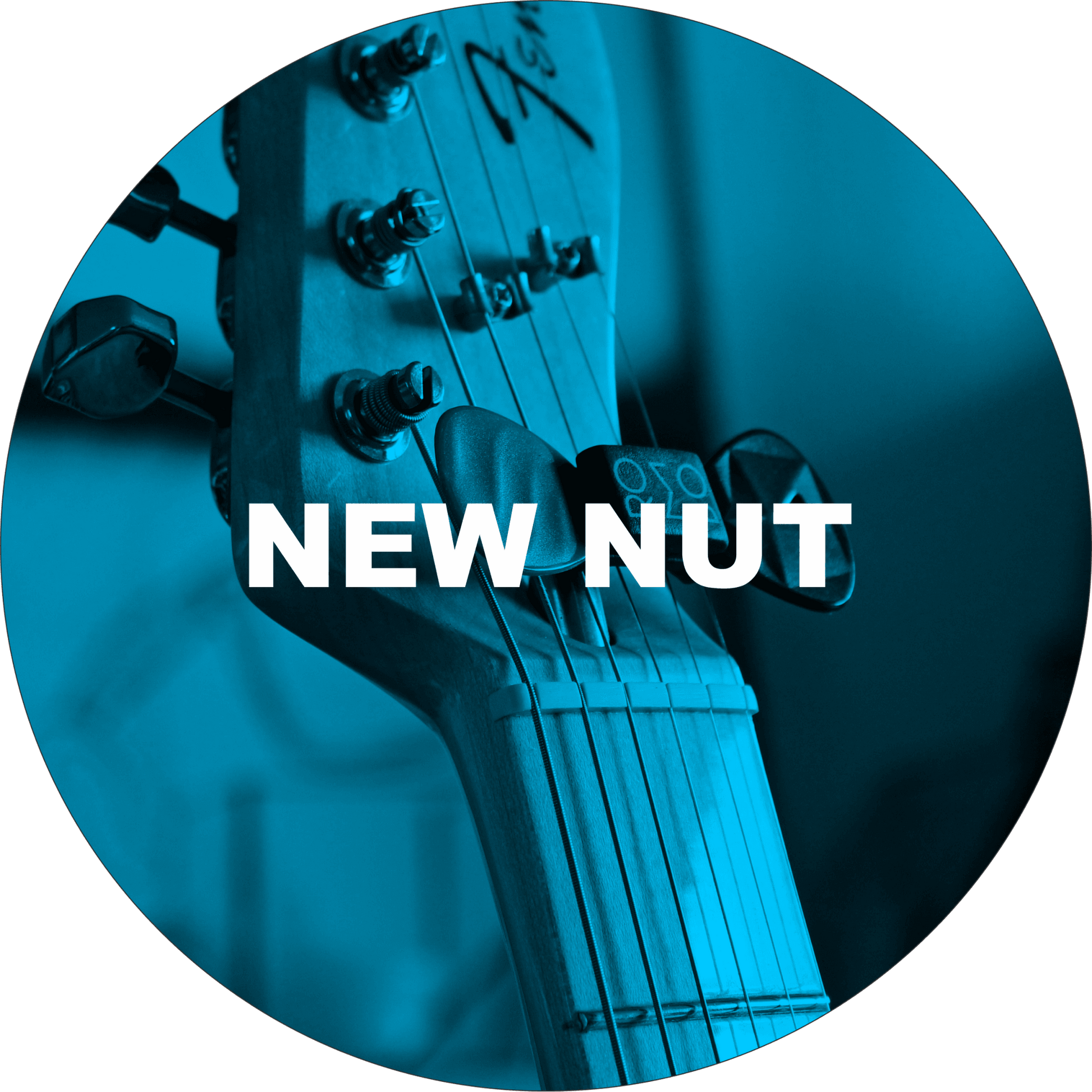 New nut