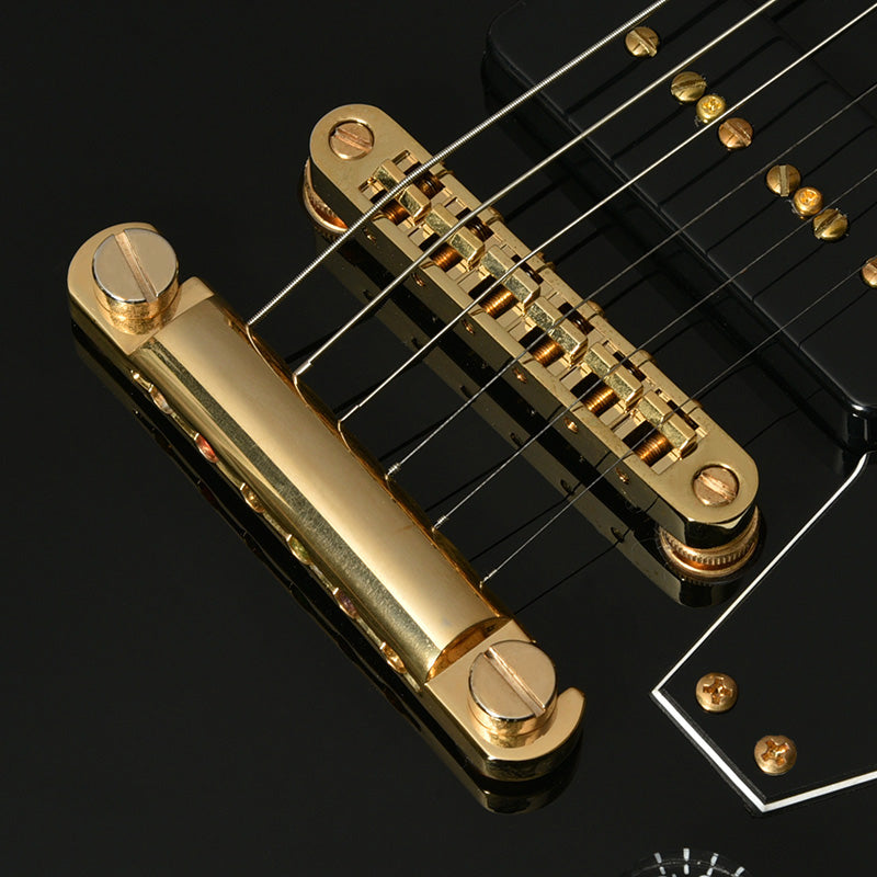 BACCHUS BEX-CTM Alnico