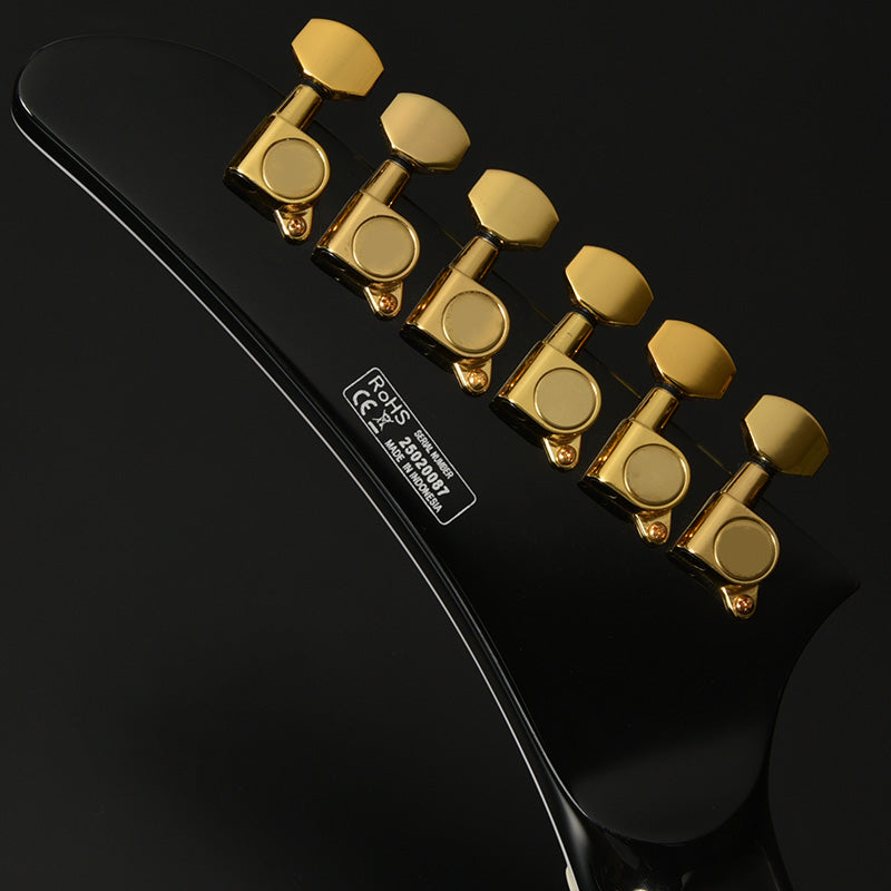 BACCHUS BEX-CTM Alnico