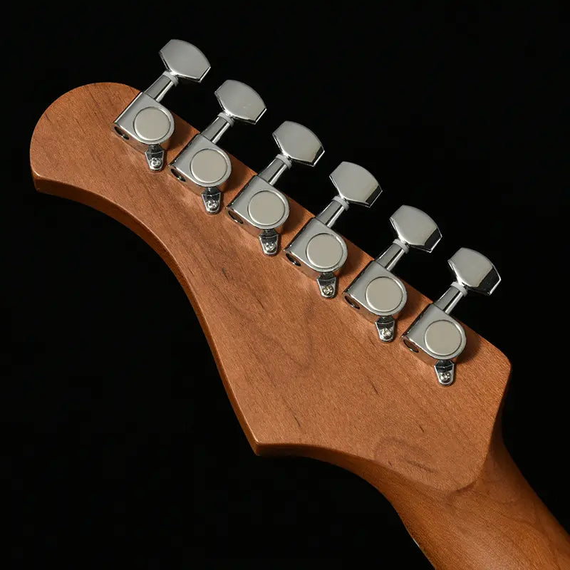 Bacchus BTE-1DX RSM/M
