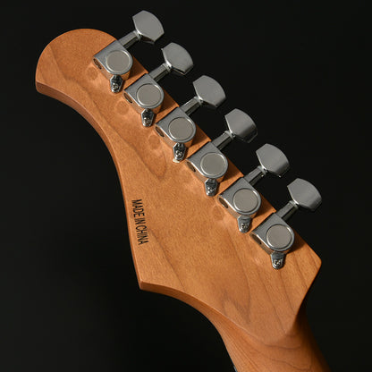 Bacchus BTE-1DX RSM/P