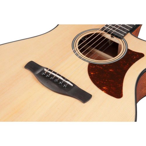 Ibanez AAM50CE Advanced Acoustic Auditorium Acoustic Guitar