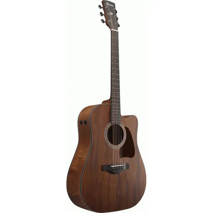 Ibanez AW1040CE OPN Acoustic Guitar