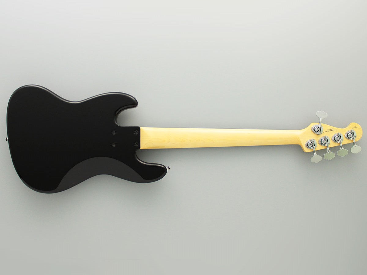 FGN NEO CLASSIC NJB100RALV