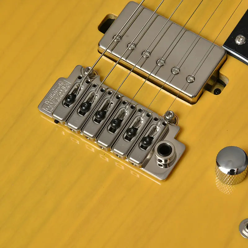 BACCHUS TACTICS 24 ASH RSM – Fouche Guitars BACCHUS TACTICS 24 ASH RSM – Fouche Guitars