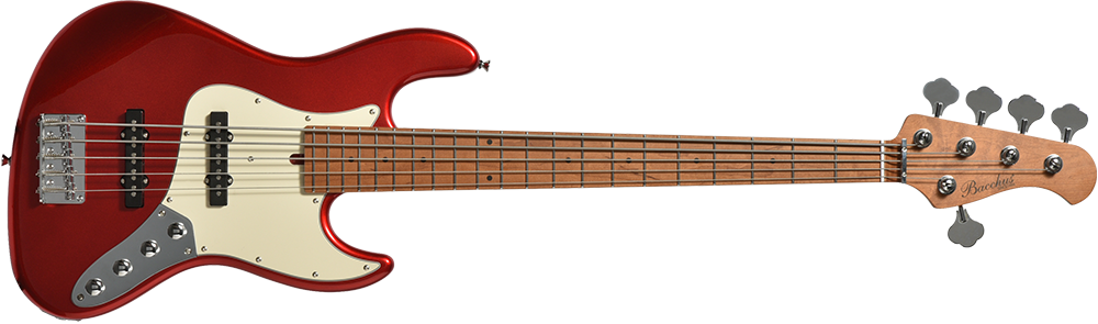 Bacchus WJB5-1DX-AC RSM/M