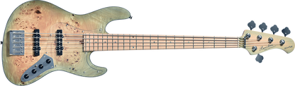 Bacchus WL5-BP-AC/M