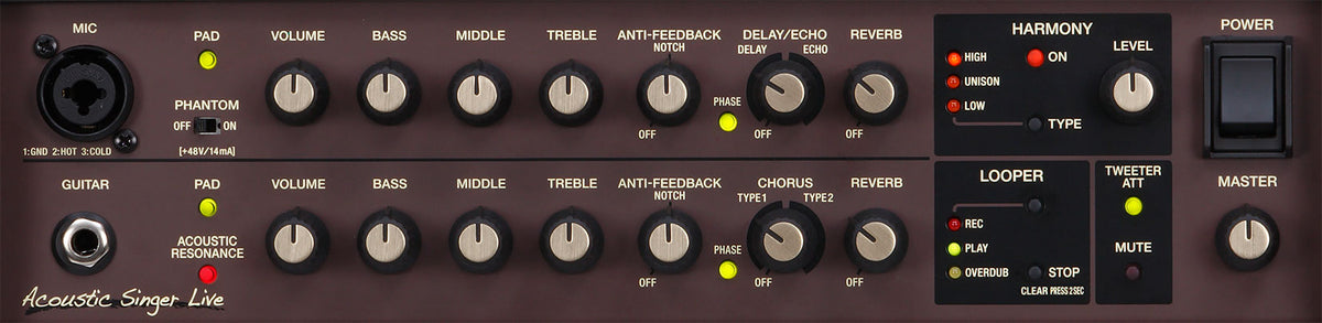 Boss Acoustic Singer Live Amp