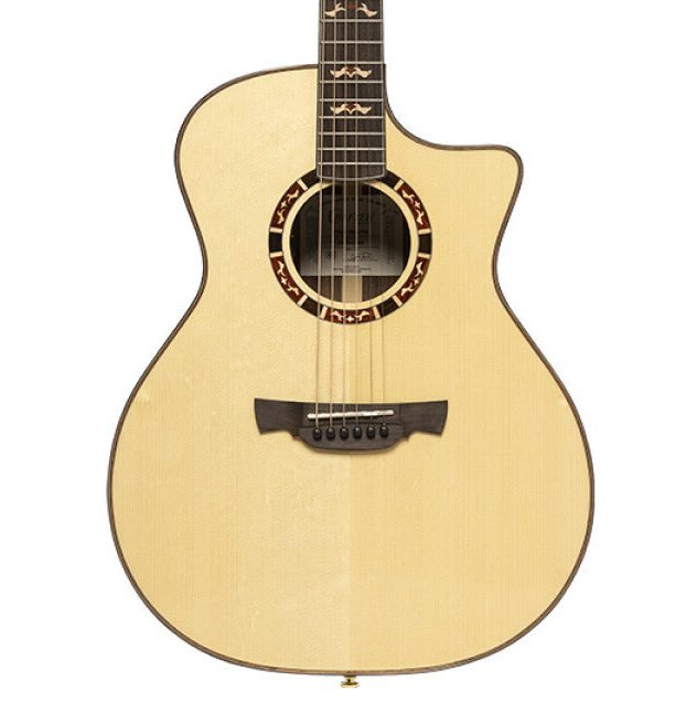 Crafter STG G - 22ce Pro Acoustic Guitar - Fouche Guitars