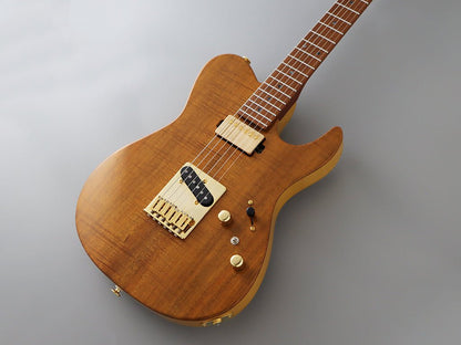 FGN EXPERT ILIAD EIL - EW2 - HS - RM - Fouche Guitars