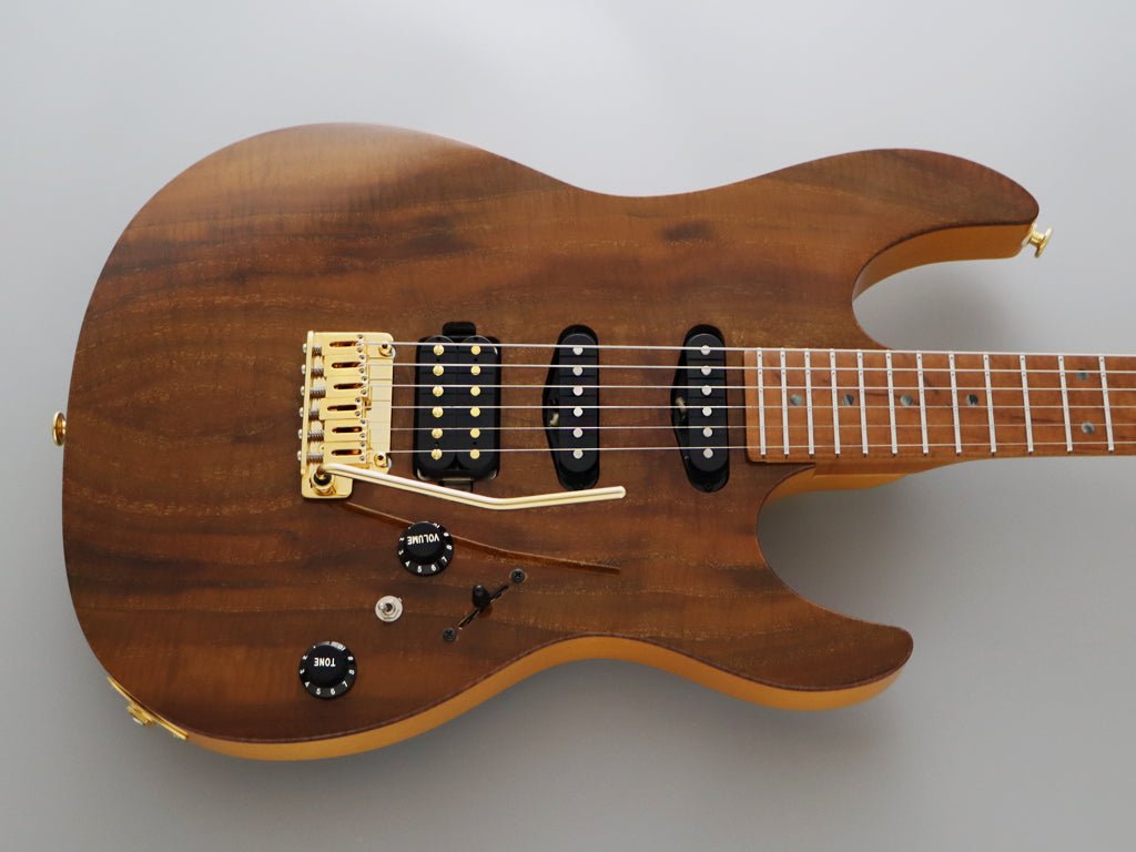 FGN EXPERT ODYSSEY EOS2 - DU - EW2 - RM - Fouche Guitars