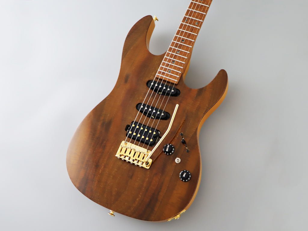 FGN EXPERT ODYSSEY EOS2 - DU - EW2 - RM - Fouche Guitars