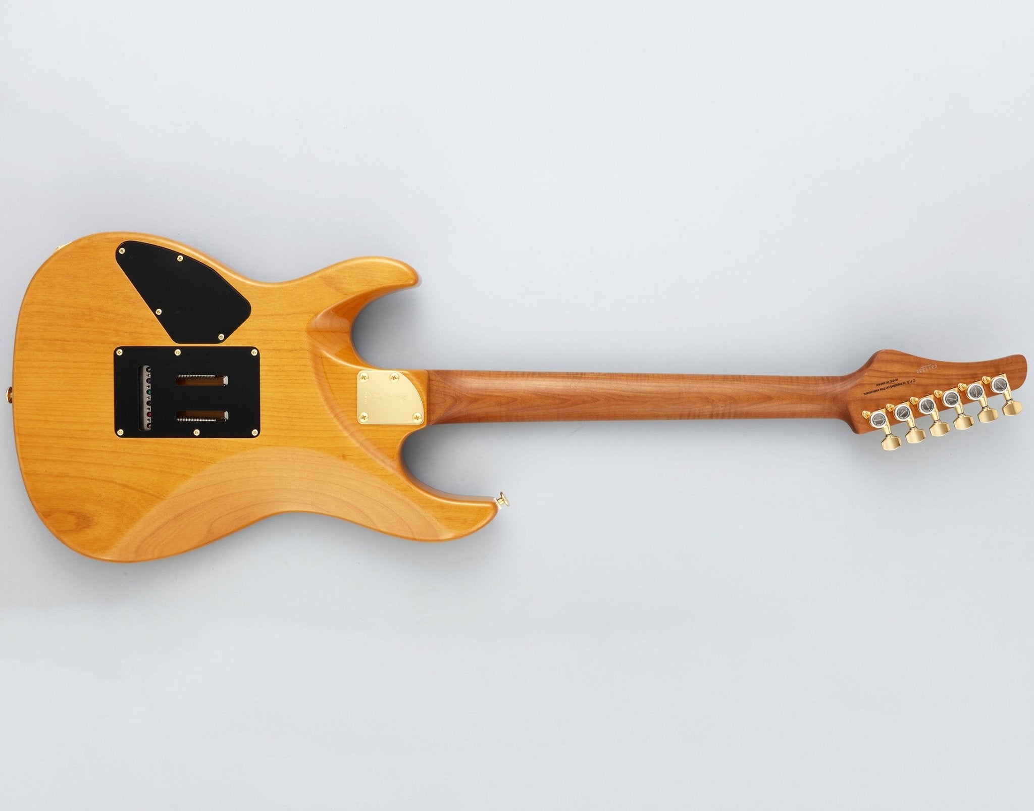 Fgn5 FGN Guitars – Fouche Guitars