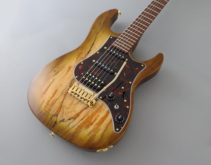 FGN EXPERT ODYSSEY EOS2 - EW1 - RM - Fouche Guitars