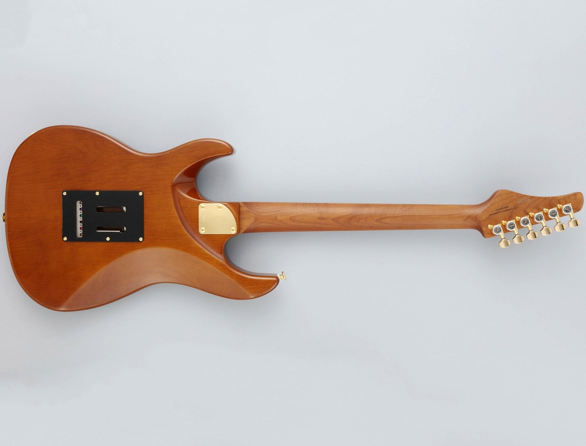 FGN Guitars – Fouche Guitars