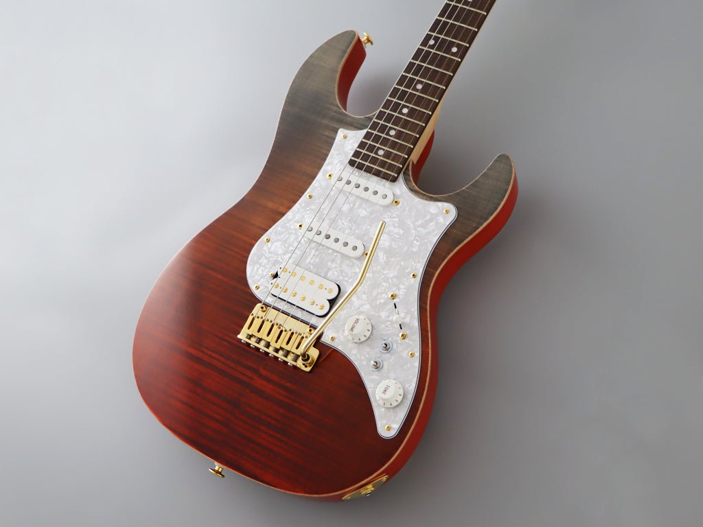 FGN EXPERT ODYSSEY EOS2 - FM - R - Fouche Guitars