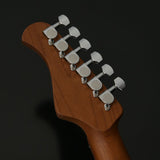 Bacchus BTE-ASH25 WRS/M - Fouche Guitars