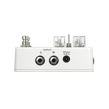 JET Eternity Delay - Fouche Guitars