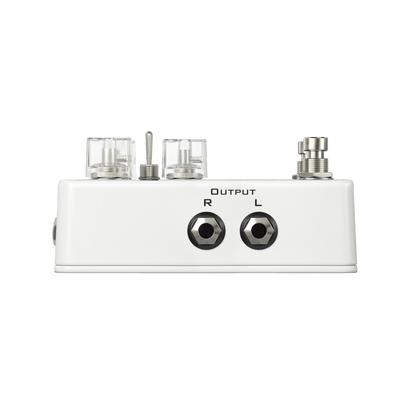 JET Eternity Delay - Fouche Guitars