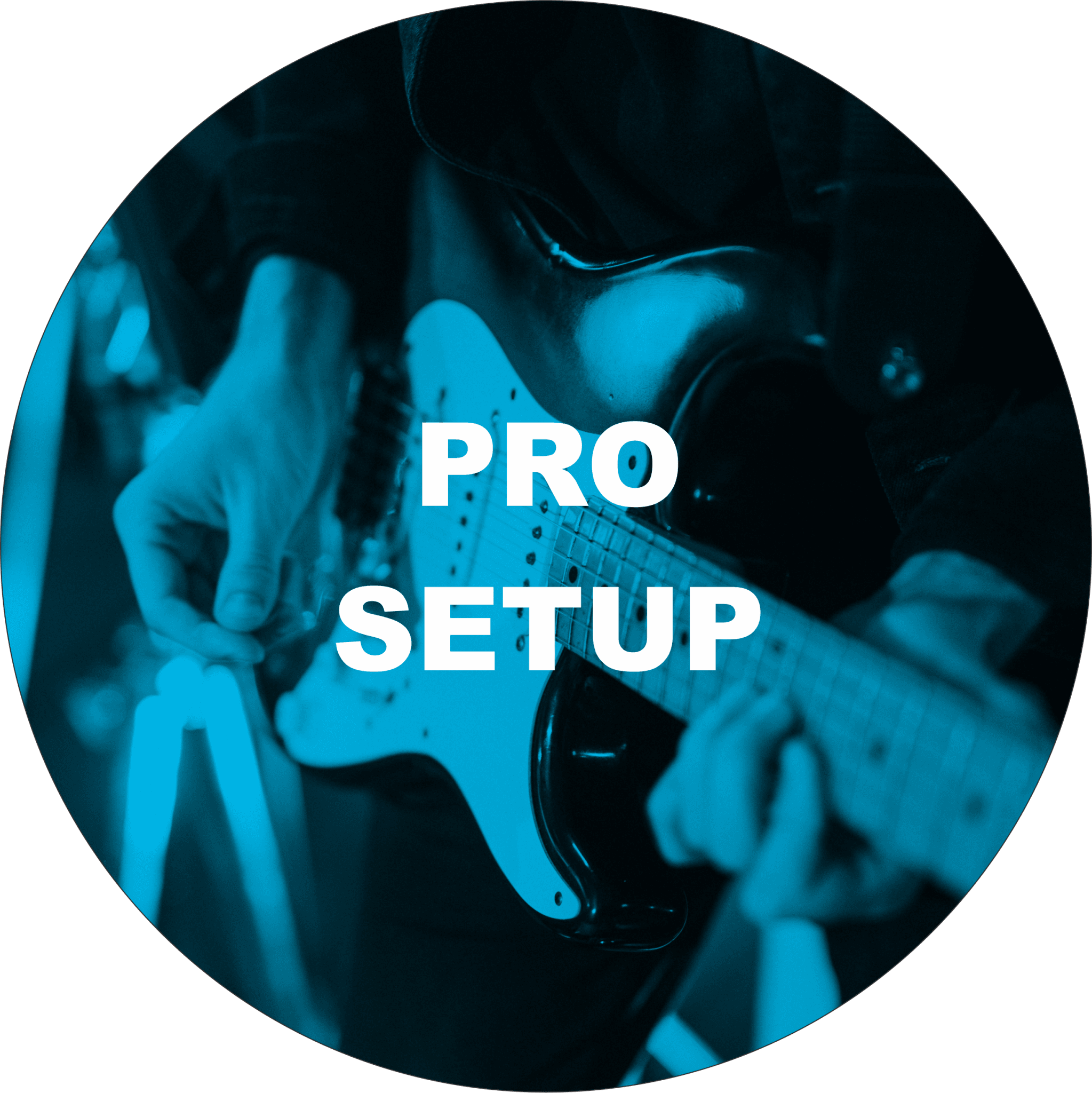 Pro Setup - Fouche Guitars
